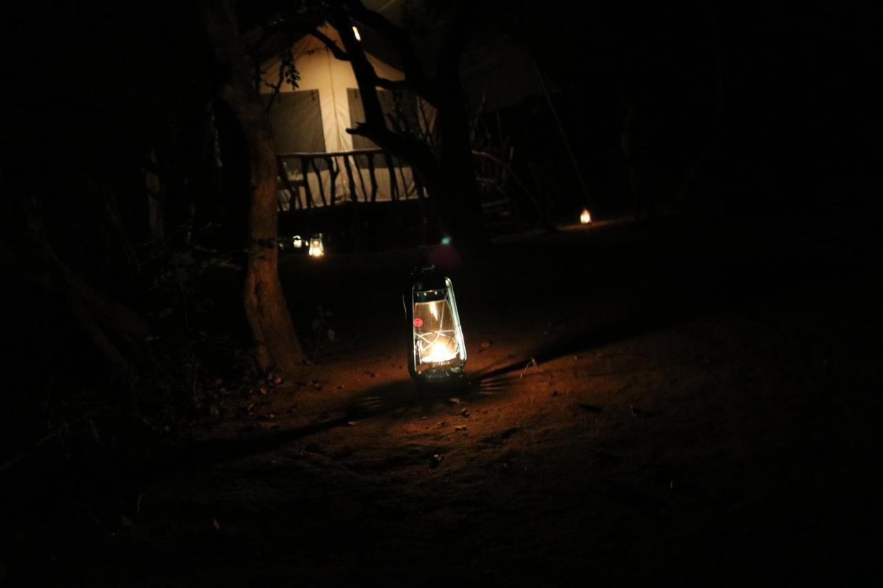 Yala Wild Corridor Camp Hotel Tissamaharama Exterior foto